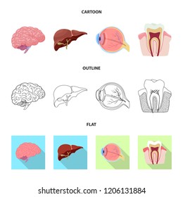 Isolated object of body and human symbol. Collection of body and medical vector icon for stock.
