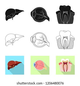 Isolated object of body and human symbol. Set of body and medical stock symbol for web.