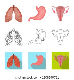 Isolated object of body and human symbol. Collection of body and medical vector icon for stock.