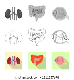 Isolated object of body and human symbol. Collection of body and medical stock vector illustration.