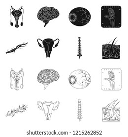 Isolated object of body and human symbol. Collection of body and medical stock symbol for web.