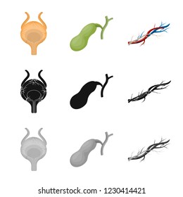 Isolated object of body and human symbol. Set of body and medical stock vector illustration.