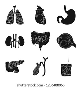 Isolated object of body and human symbol. Set of body and medical stock symbol for web.