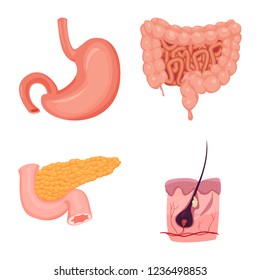 Isolated object of body and human symbol. Set of body and medical stock symbol for web.
