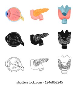 Isolated object of body and human symbol. Collection of body and medical vector icon for stock.
