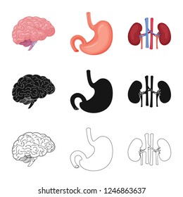 Isolated object of body and human symbol. Collection of body and medical stock symbol for web.