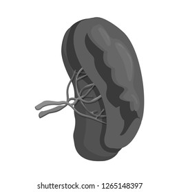 Isolated object of body and human symbol. Set of body and medical stock symbol for web.
