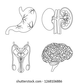 Isolated object of body and human symbol. Collection of body and medical vector icon for stock. Isolated object of body and human symbol. Collection of body and medical vector icon for stock.