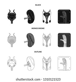 Isolated object of body and human symbol. Collection of body and medical stock vector illustration.