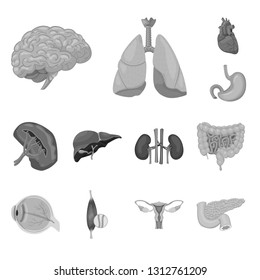 Isolated object of body and human symbol. Set of body and medical stock symbol for web.