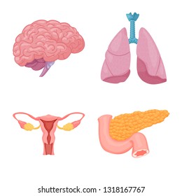 Isolated object of body and human symbol. Collection of body and medical stock symbol for web.