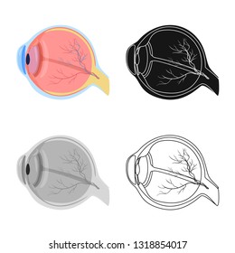 Isolated object of body and human symbol. Collection of body and medical vector icon for stock.