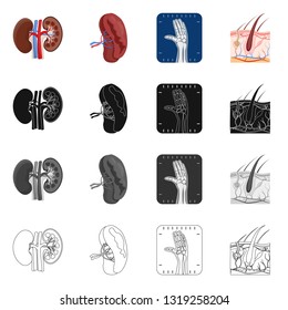 Isolated object of body and human symbol. Set of body and medical vector icon for stock.