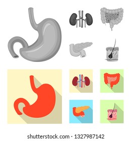 Isolated object of body and human symbol. Set of body and medical vector icon for stock.