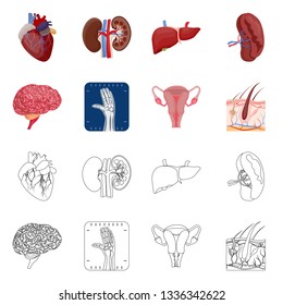 Isolated object of body and human symbol. Set of body and medical stock vector illustration.