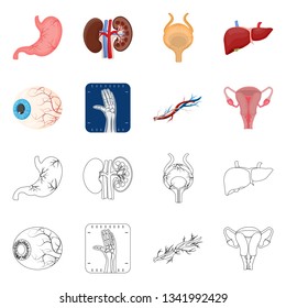 Isolated object of body and human symbol. Collection of body and medical vector icon for stock.