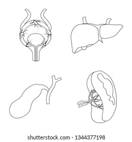 Isolated object of body and human symbol. Set of body and medical stock vector illustration.