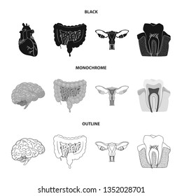 Isolated object of body and human symbol. Set of body and medical stock vector illustration.