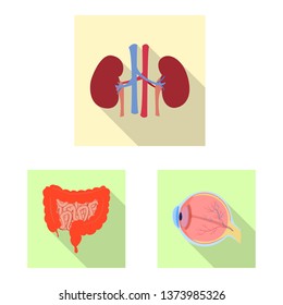Isolated object of body and human symbol. Set of body and medical stock vector illustration.