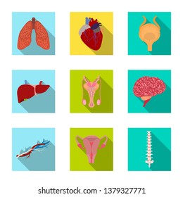 Isolated object of body and human symbol. Set of body and medical vector icon for stock.