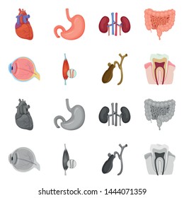 Isolated object of body and human symbol. Set of body and medical vector icon for stock.