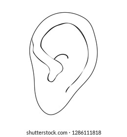 Isolated object of body and part icon. Set of body and anatomy vector icon for stock.