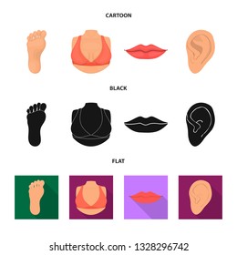 Isolated object of body and part icon. Set of body and anatomy stock vector illustration.
