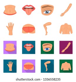 Isolated object of body and part icon. Set of body and anatomy vector icon for stock.