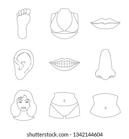 Isolated object of body and part icon. Set of body and anatomy stock vector illustration.