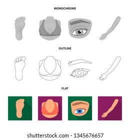 Isolated object of body and part icon. Set of body and anatomy stock symbol for web.