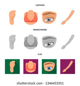 Isolated object of body and part icon. Set of body and anatomy stock vector illustration.