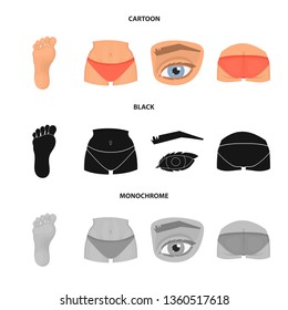 Isolated object of body and part icon. Set of body and anatomy vector icon for stock.