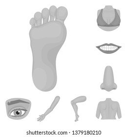 Isolated object of body and part icon. Collection of body and anatomy stock symbol for web.