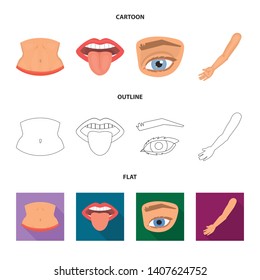 Isolated object of body and part icon. Set of body and anatomy vector icon for stock.
