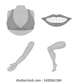 Isolated object of body and part icon. Collection of body and anatomy stock symbol for web.