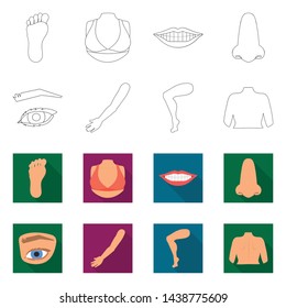 Isolated object of body and part icon. Collection of body and anatomy stock symbol for web.
