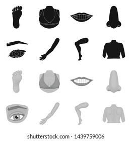 Isolated object of body and part icon. Set of body and anatomy vector icon for stock.