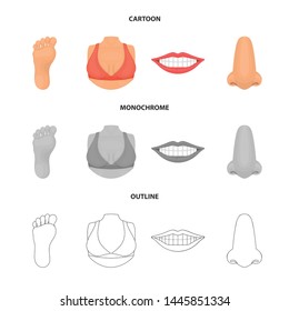 Isolated object of body and part icon. Set of body and anatomy vector icon for stock.