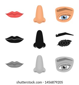 Isolated object of body and part icon. Set of body and anatomy stock symbol for web.