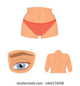 Isolated object of body and part icon. Collection of body and anatomy stock vector illustration.