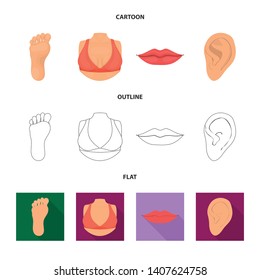 Isolated object of body and part logo. Collection of body and anatomy stock vector illustration.