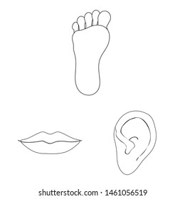 Isolated object of body and part logo. Set of body and anatomy stock symbol for web.