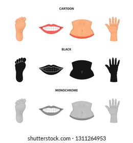 Isolated object of body and part sign. Set of body and anatomy stock symbol for web.