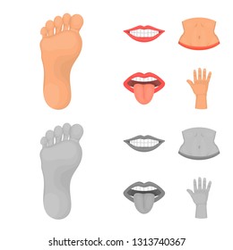 Isolated object of body and part sign. Set of body and anatomy stock vector illustration.