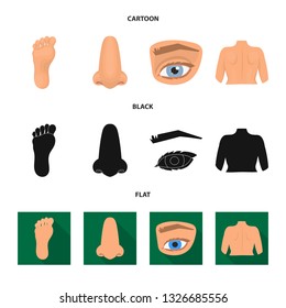 Isolated object of body and part sign. Set of body and anatomy vector icon for stock.