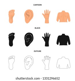 Isolated object of body and part sign. Set of body and anatomy stock symbol for web.