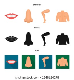 Isolated object of body and part sign. Set of body and anatomy stock vector illustration.