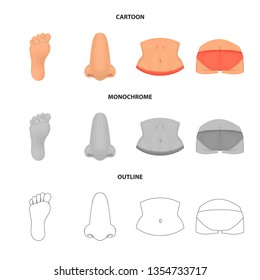 Isolated object of body and part sign. Set of body and anatomy stock vector illustration.