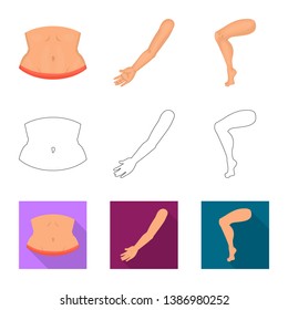 Isolated object of body and part sign. Collection of body and anatomy stock symbol for web.