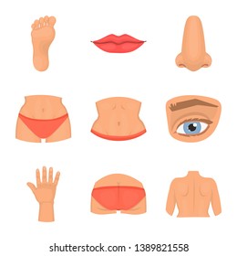 Isolated object of body and part sign. Set of body and anatomy stock symbol for web.
